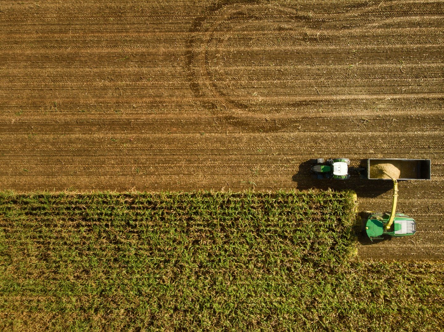 Crop Visibility & Mapping